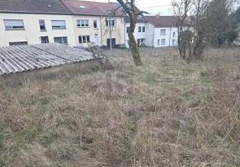 484058-Vorschaubild3