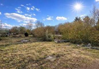 483521-Vorschaubild2