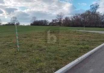 483845-Vorschaubild2