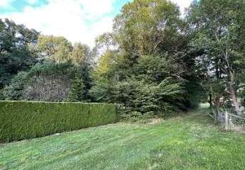 484393-Vorschaubild3