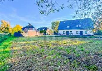 484443-Vorschaubild3