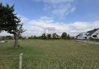 484800-Vorschaubild2