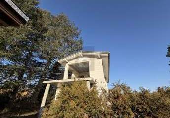 481146-Vorschaubild2