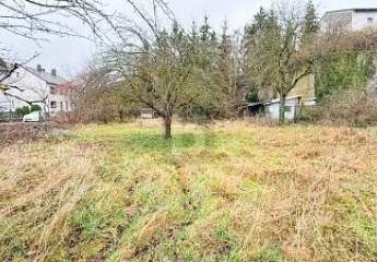 484397-Vorschaubild2