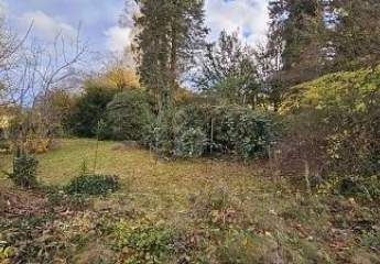 484930-Vorschaubild3