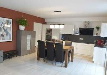 484236-Vorschaubild2