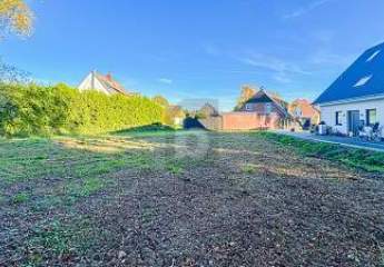 484443-Vorschaubild4