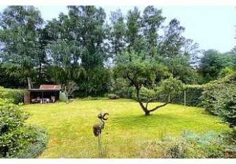 483267-Vorschaubild4