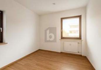 484832-Vorschaubild4