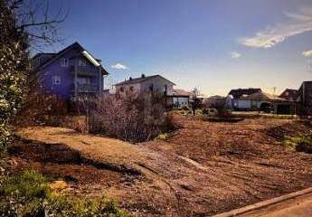 485032-Vorschaubild2