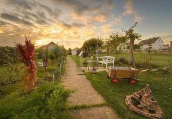 485053-Vorschaubild2