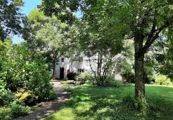 484819-Vorschaubild2