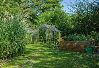 484939-Vorschaubild3