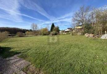 484498-Vorschaubild2