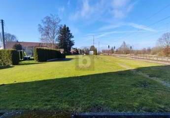 485081-Vorschaubild2