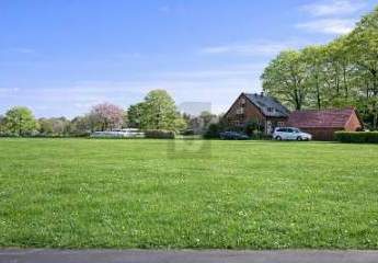 484769-Vorschaubild2