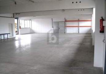 484787-Vorschaubild2