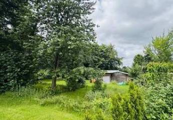 483090-Vorschaubild3