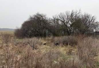 485078-Vorschaubild3