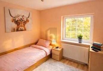 484252-Vorschaubild4