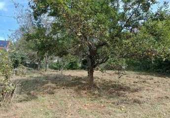 485540-Vorschaubild2