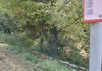 485540-Vorschaubild4