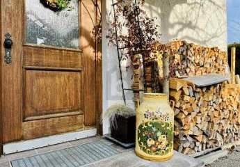 483770-Vorschaubild3