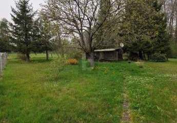 483793-Vorschaubild2