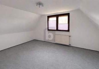 483916-Vorschaubild3