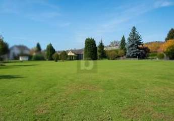 485699-Vorschaubild3