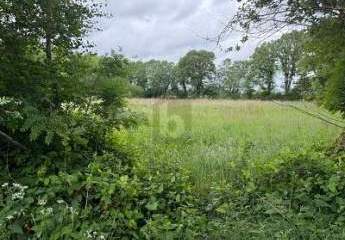 IDEAL FÜR FREIZEIT IN DER NATUR