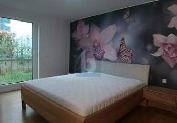 485541-Vorschaubild2