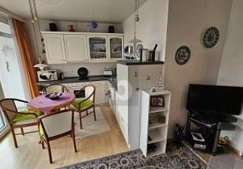 485709-Vorschaubild4