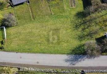 485638-Vorschaubild3