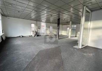 484403-Vorschaubild2