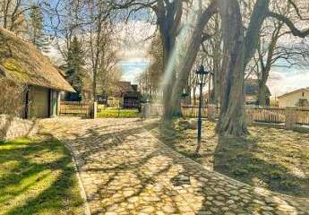 485764-Vorschaubild2