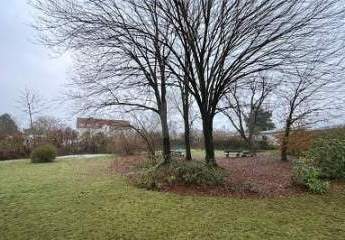 483261-Vorschaubild2