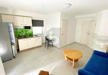 483070-Vorschaubild2