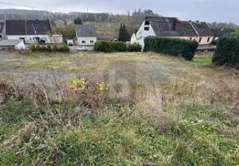 485775-Vorschaubild4