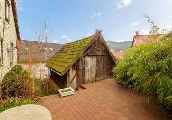 483498-Vorschaubild2