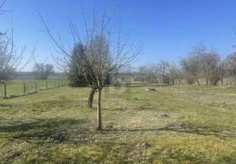 485665-Vorschaubild4