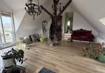 485778-Vorschaubild3