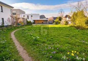 485518-Vorschaubild3