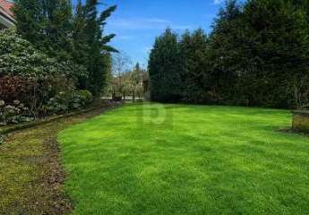 482842-Vorschaubild3