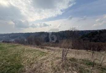 485783-Vorschaubild2