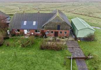 483513-Vorschaubild2