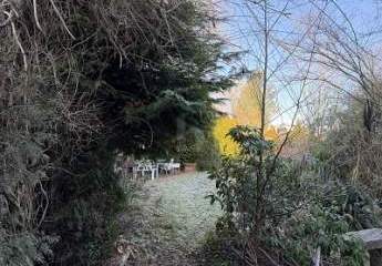 485526-Vorschaubild4