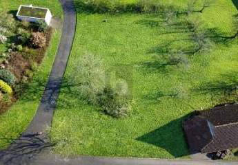 485690-Vorschaubild4