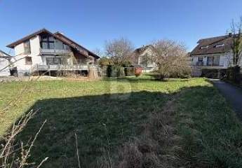 485693-Vorschaubild3