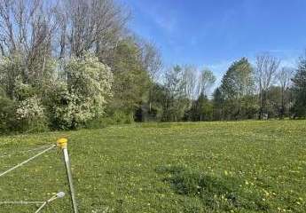 483125-Vorschaubild2